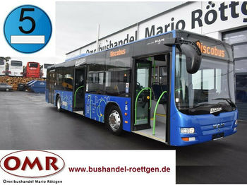Autobús urbano MAN A 21 Lion´s City / O 530 / A 20 / 3 türig /Klima: foto 1