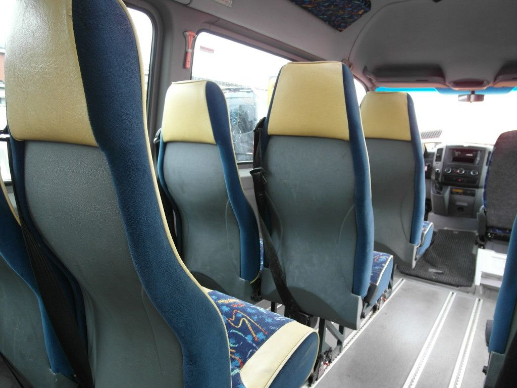 Minibús, Furgoneta de pasajeros Mercedes-Benz 315 CDI Sprinter *Klima*12-Sitze*Lift*318: foto 23