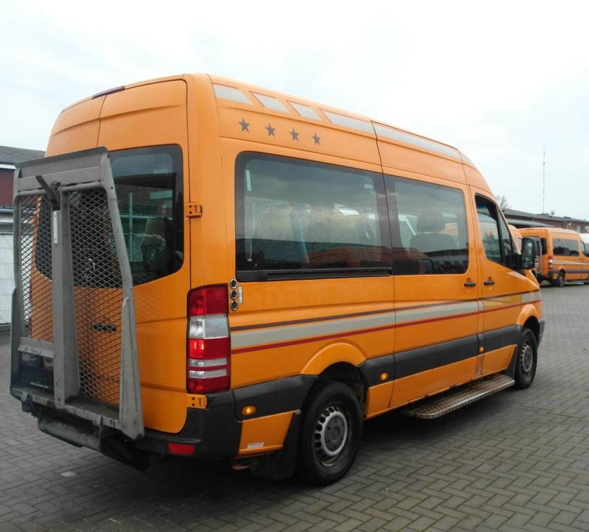 Minibús, Furgoneta de pasajeros Mercedes-Benz 315 CDI Sprinter *Klima*12-Sitze*Lift*318: foto 8