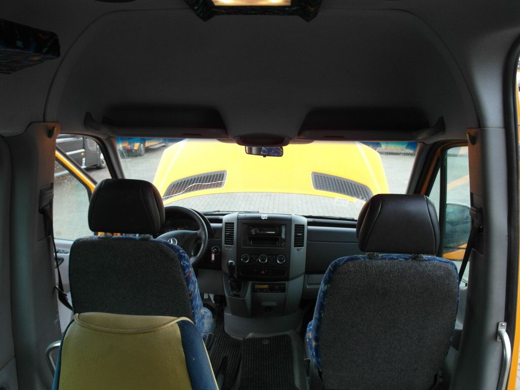 Minibús, Furgoneta de pasajeros Mercedes-Benz 315 CDI Sprinter *Klima*12-Sitze*Lift*318: foto 24