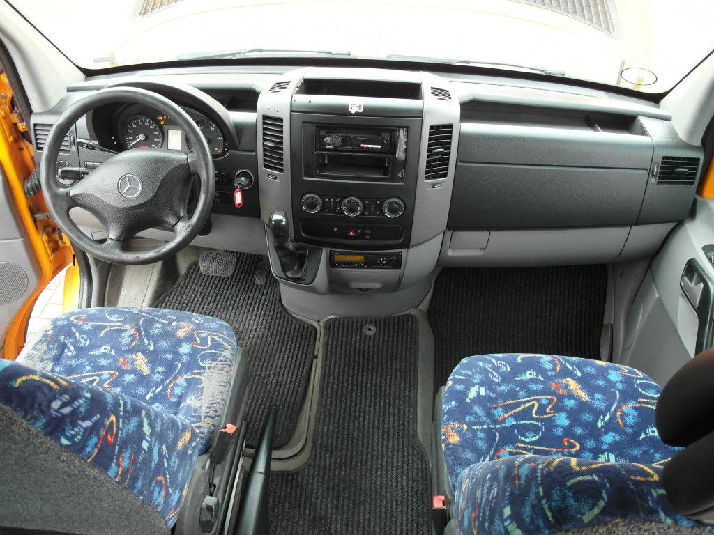 Minibús, Furgoneta de pasajeros Mercedes-Benz 315 CDI Sprinter *Klima*12-Sitze*Lift*318: foto 12