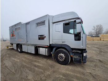 Camión para caballos IVECO Eurocargo 190 E 38 - 4 horses transporter: foto 3