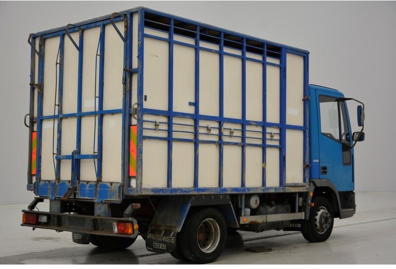 Camión transporte de ganado Iveco 65E14: foto 6