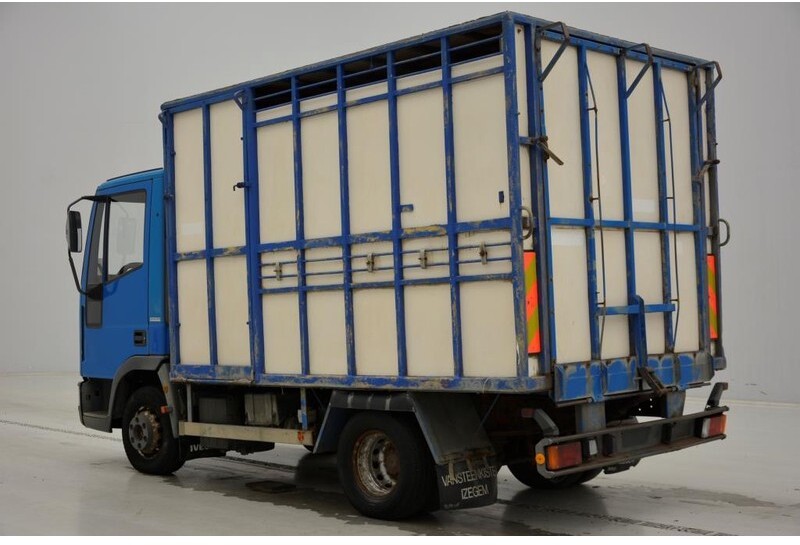 Camión transporte de ganado Iveco 65E14: foto 8
