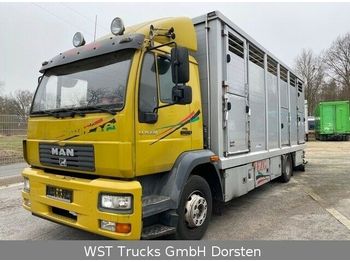 Camión transporte de ganado MAN 15.220 Menke Einstock: foto 1