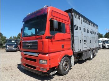 Camión transporte de ganado MAN TGA 26.480 6x2 Menke 3 Stock: foto 1