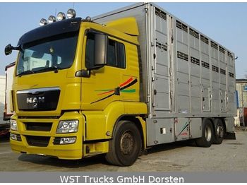 Camión transporte de ganado MAN TGX 26.440 LX Menke 3 Stock: foto 1