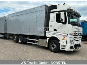 Camión transporte de ganado Mercedes-Benz Actros 2545 L BDF Menke Einstock "Neu" Mehrfach: foto 3