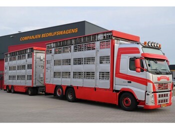 Camión transporte de ganado Volvo FH 500 6X2: foto 1