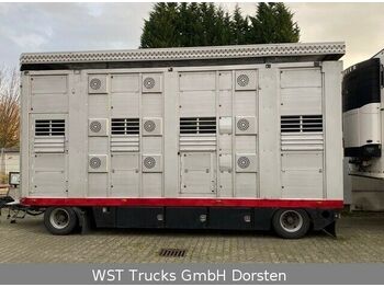 Remolque transporte de ganado Stehmann3 Stock Ausahrbares Dach  Vollalu: foto 1