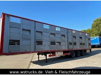 Semirremolque transporte de ganado Menke 3 Stock   Lüfter  Vollalu Unfall: foto 1
