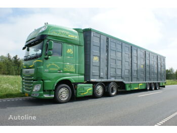 Semirremolque transporte de ganado Menke-Janzen 5 stock: foto 1