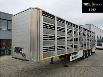 Semirremolque transporte de ganado Pezzaioli CIMC / SR03 / 4 Stock / Typ 2 / Ferkeltransporte: foto 1