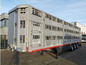 Pezzaioli SBA63U / 3 Stock / Hubdach / BPW  - Semirremolque transporte de ganado