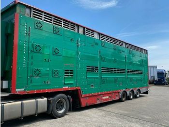 Pezzaioli SBA 31U 3Stock  Vollausstattung GPS Top Zustand  - Semirremolque transporte de ganado