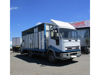 Camión transporte de ganado IVECO EuroCargo 80E