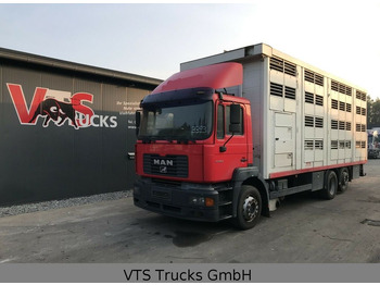 Camión transporte de ganado MAN