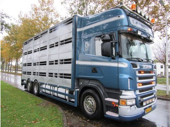 Camión transporte de ganado SCANIA R 500
