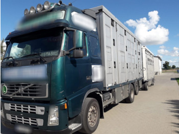Camión transporte de ganado VOLVO FH12