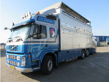 Camión transporte de ganado VOLVO FM9