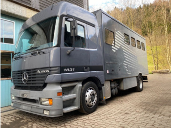 Mercedes-Benz ACTROS 1831 Lószállító + lakrész - Camión para caballos: foto 1