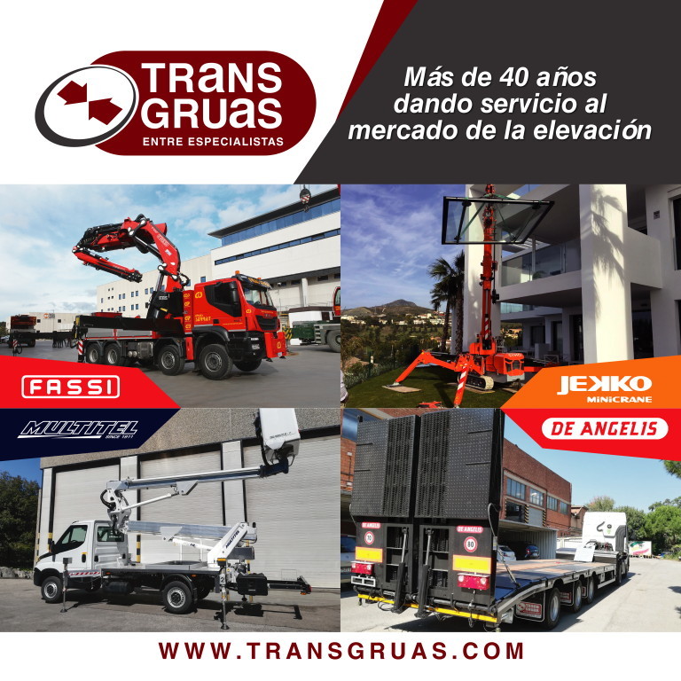 TRANSGRUAS - Maquinaria de construcción NISSAN undefined: foto 7