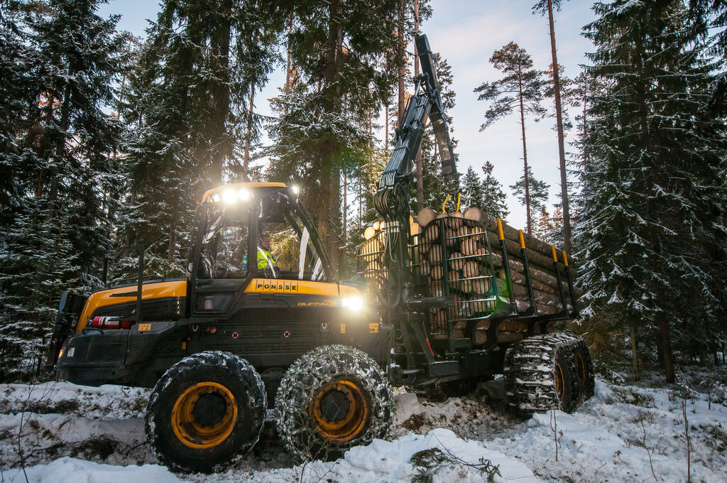 Tractoaredepadure.ro undefined: foto 5