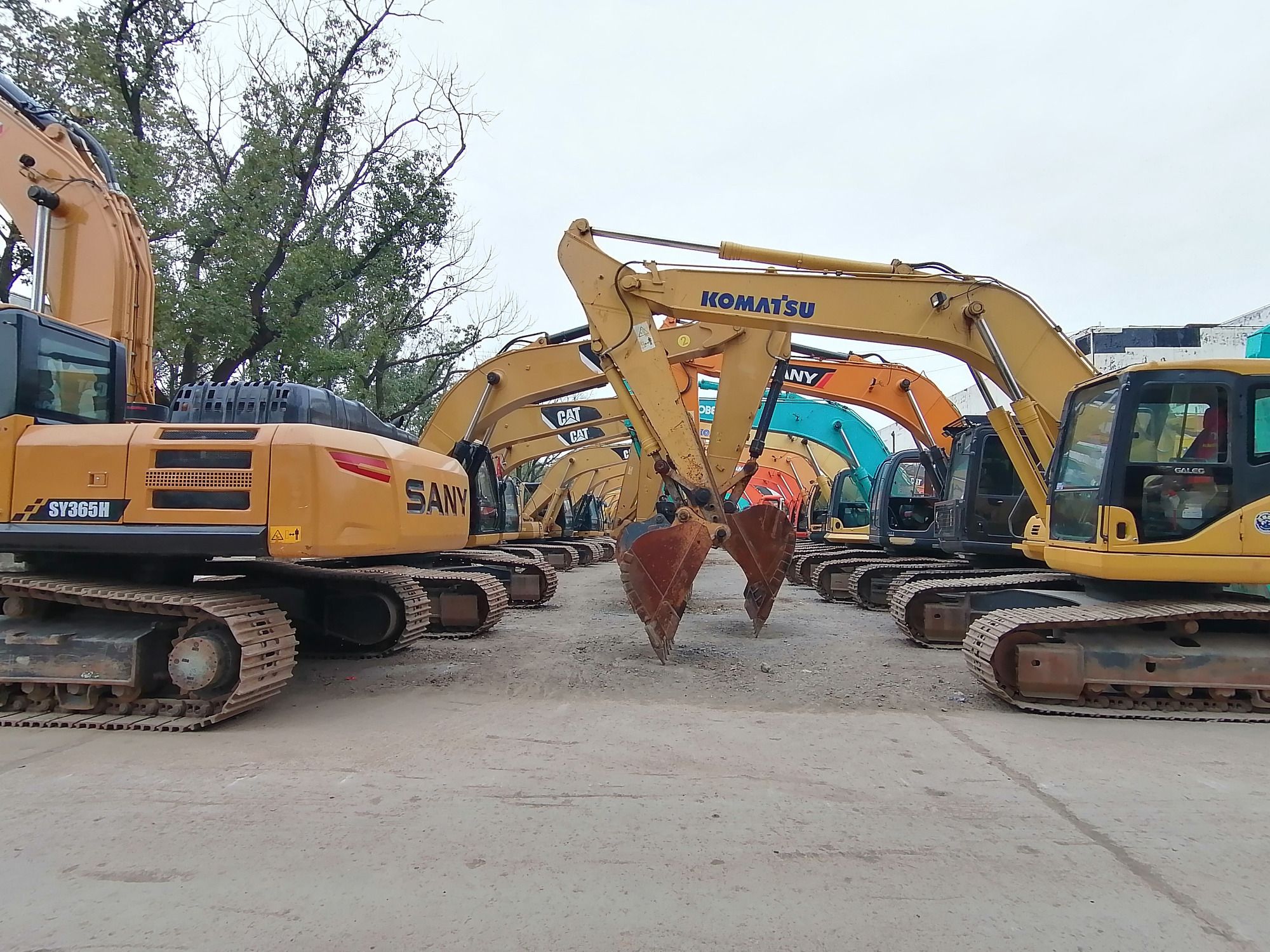 Qingdao Higher Weight Trade Co. LTD undefined: foto 6