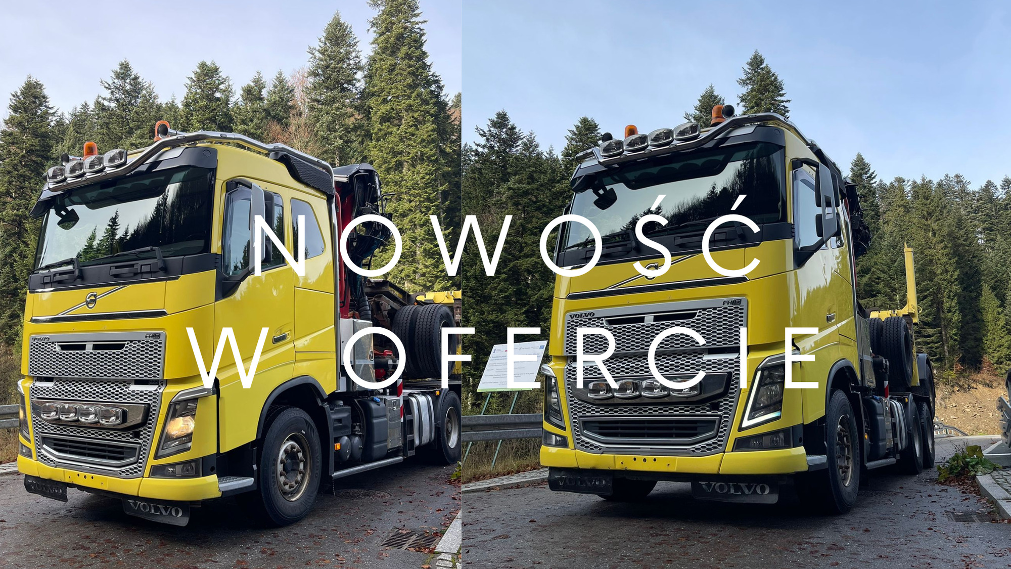 JANUSZKI SC undefined: foto 2