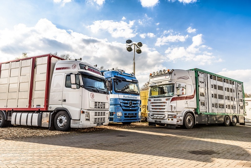 WS Trucks GmbH - Furgonetas - Año: 2013 undefined: foto 1