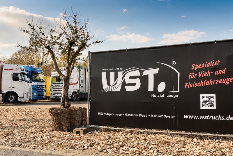 WS Trucks GmbH - Furgonetas - Año: 2013 undefined: foto 4