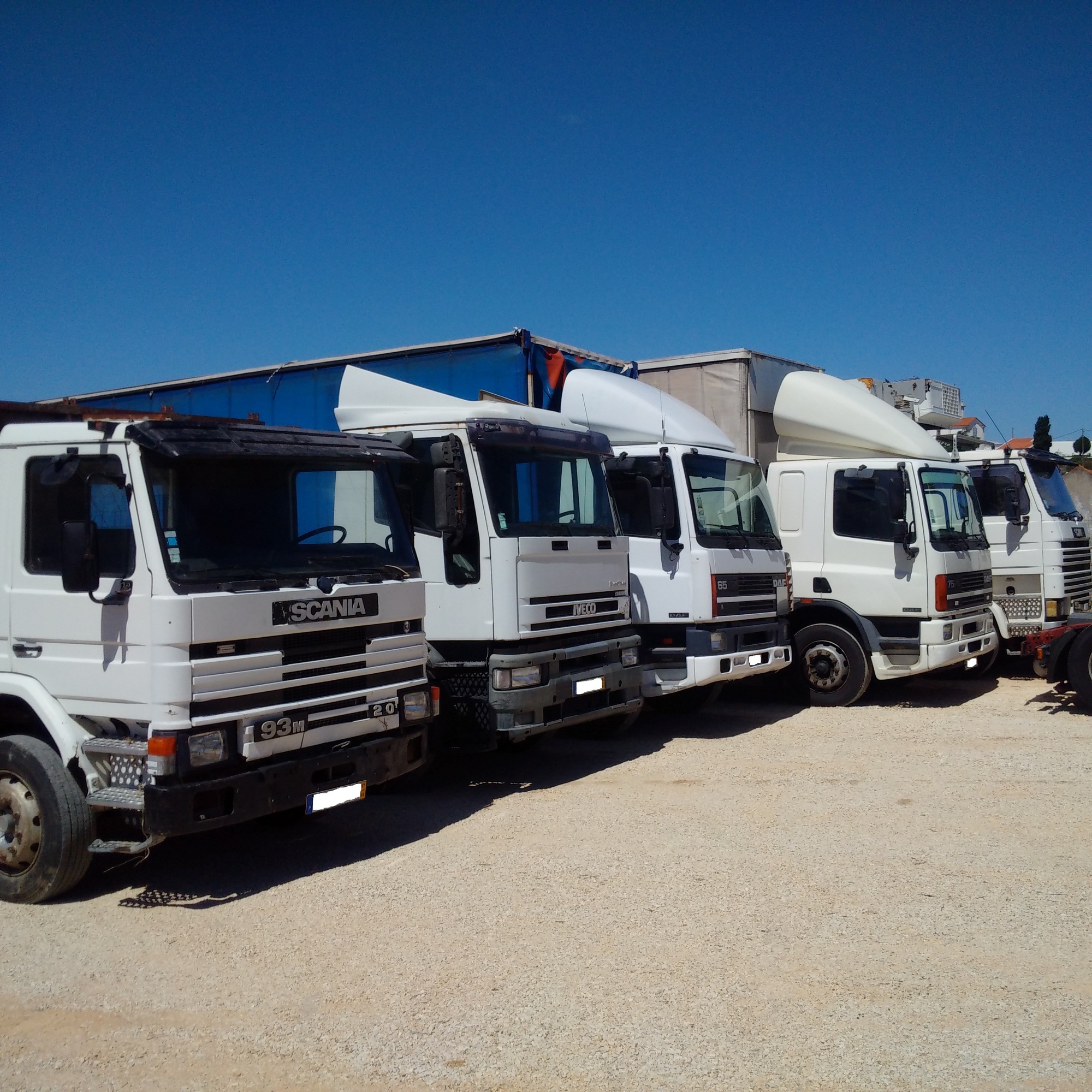 Britannia Export Consultants Limited undefined: foto 29