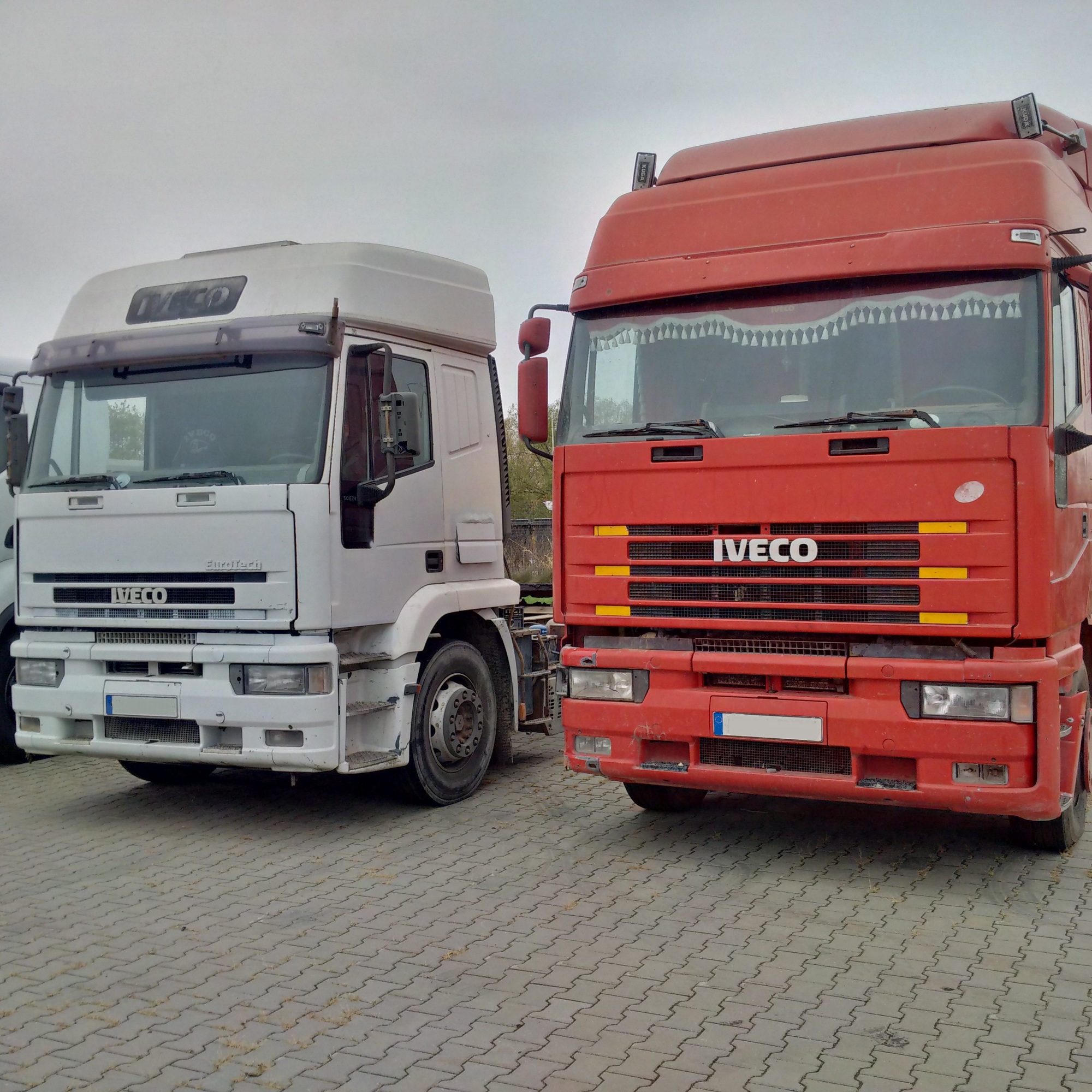 Britannia Export Consultants Limited undefined: foto 27