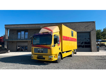 Camión para caballos MAN TGL 10.180