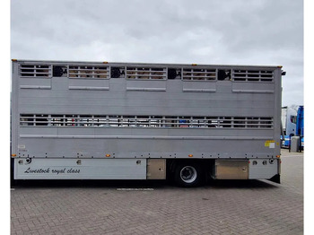 Camión transporte de ganado nuevo Pezzaioli 1 deck - Ventilation - 17.9M2 - Ramp - NEW box: foto 3