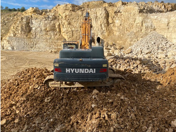 Excavadora de cadenas Hyundai HX 480: foto 3