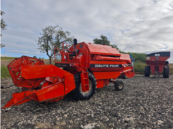 : imagen de cabecera