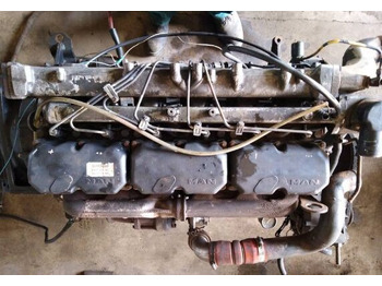 Motor para Camión MAN D0826LFL03 MAN truck: foto 5 Motor para Camión MAN D0826LFL03 MAN truck: foto 5