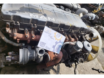 Motor para Camión MAN Euro 5 TGA TGX D2027 E5 D2066LF27 MAN D2066LF27 truck: foto 3 Motor para Camión MAN Euro 5 TGA TGX D2027 E5 D2066LF27 MAN D2066LF27 truck: foto 3