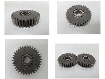 : imagen de cabecera