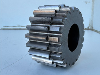 : imagen de cabecera