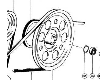 : imagen de cabecera