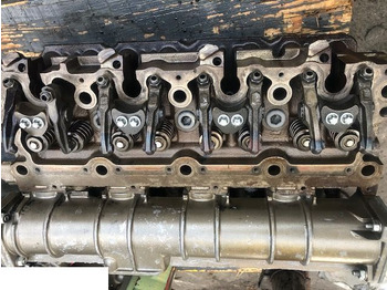 : imagen de cabecera