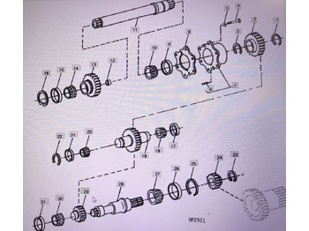 : imagen de cabecera