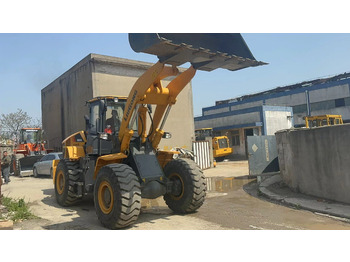 Cargadora de ruedas LIUGONG CLG855H: foto 4