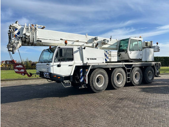 Grúa todo terreno FAUN