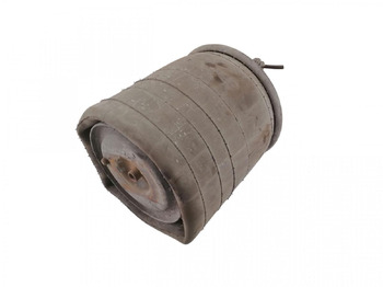 Suspensión neumática SCANIA