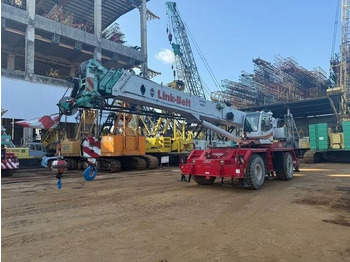 Grúa para terrenos difíciles