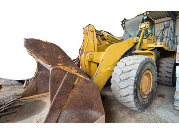 : imagen de cabecera