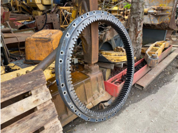 : imagen de cabecera